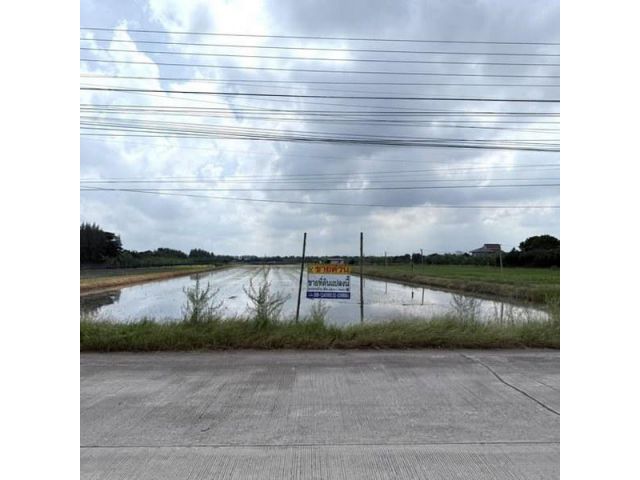 ขายที่ดินบ้านกล้วยไทรน้อย (รหัสทรัพย์ 202568) ต.ไทรน้อย อ.บางบัวทอง จ.นนทบุรี