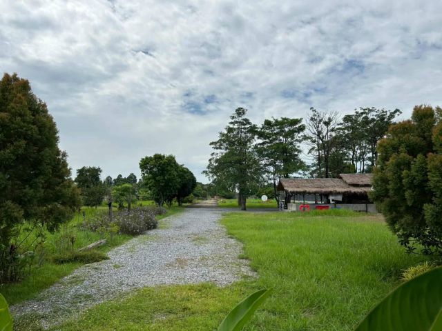 ขายถูกมาก!! ขายที่ดินถมแล้วพร้อมโครงสร้าง ติดถนน ติดคลอง 12 ไร่ 1 งาน 3 ตร.ว. ทำเลดี อ.วิหารแดง จ.สระบุรี