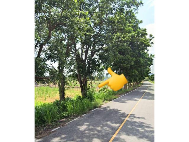 ที่ดินแปลงสวย วิวสวย น้ำไม่ท่วม อ.น้ำปาด อุตรดิตถ์