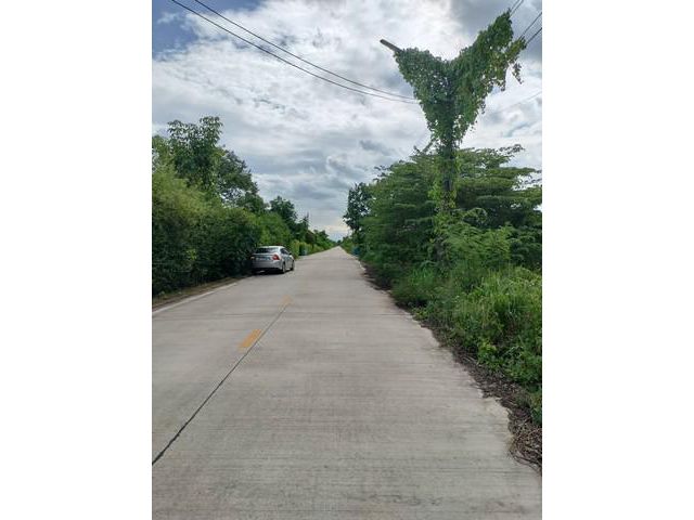 ขาย ที่ดินเปล่า เนื้อที่ 2 ไร่ ซ.บึงบอน 10 อ.หนองเสือ ปทุมธานี