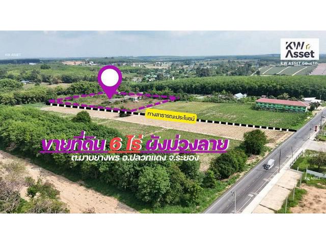 ขายที่ดิน 6 ไร่ ฟรีสิ่งปลูกสร้าง ผังม่วงลาย อ.ปลวกแดง จ.ระยอง