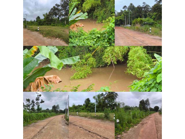 ขายที่ดินติดคลองธรรมชาติ ถมแล้ว พร้อมปลูกสร้างได้เลย  ที่ดินสวยทำเลดี