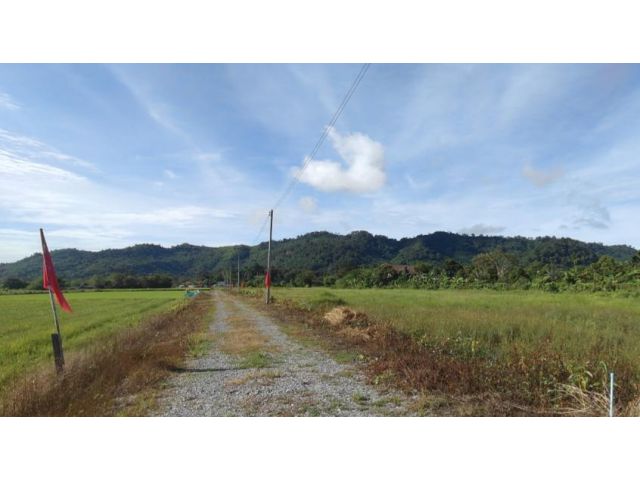 ขายที่ดินโฉนด มี 5 แปลง แปลงละ 1 ไร่  วิวเขาล้อมรอบ