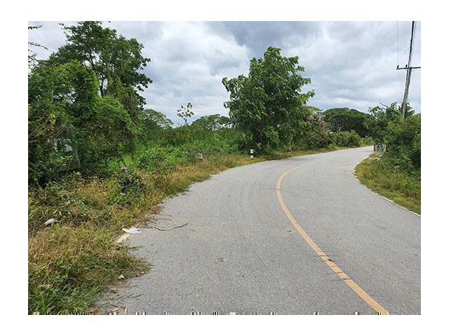 ฮวงจุ้ยดี ที่สวย อยู่ในชุมชน ติดทางราดยาง2เลนน์ ใกล้มอเตอร์เวย์ จุดเชื่อมต่อ 3 จังหวัด 1.1.90ไร่