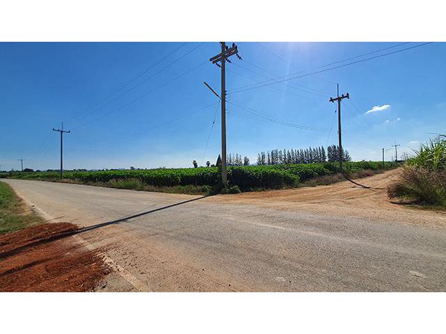 ฮวงจุ้ยดีเยี่ยม ที่ดินถมทั้งแปลง ติดทาง รพช. 2 เลนน์ ยาว 160 เมตร ทำโรงงาน ฟาร์มหมู ฟาร์มไก่ โรงงาน โซล่าเซลล์ 20 ไร่