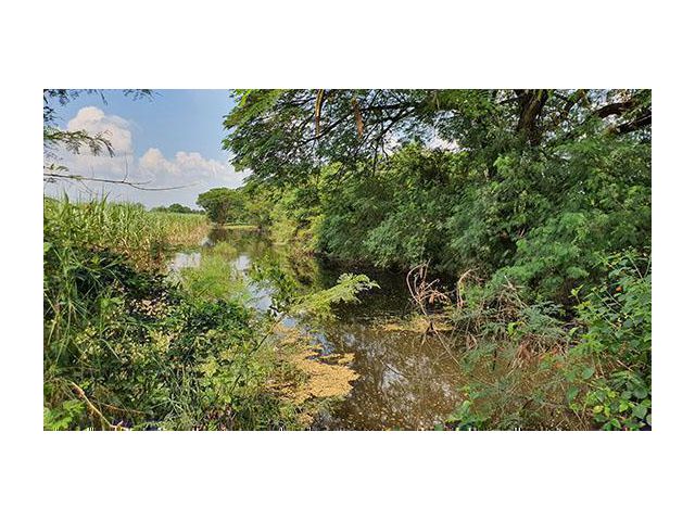 32.18 ไร่  ติดทางติดคลอง ใกล้ ม. เกษตร ใกล้มอเตอร์เวย์ (ฟรีที่ครอบครองอีกหลายไร่)