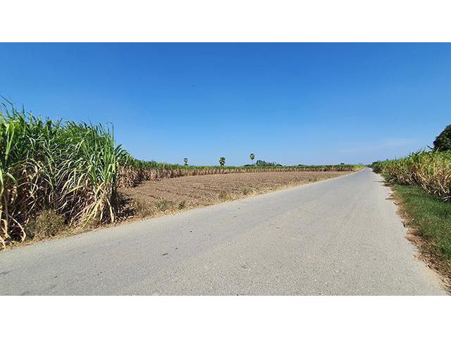 ฮวงจุ้ยดี ที่สวย ที่ถมแล้วทั้งแปลง บรรยากาศแบบทุ่งนาธรรมชาติ ติดทางราดยาง2 เลนน์ยาว 450 เมตร ใกล้ ม.ลัยเกษตรกำแพงแสน 38