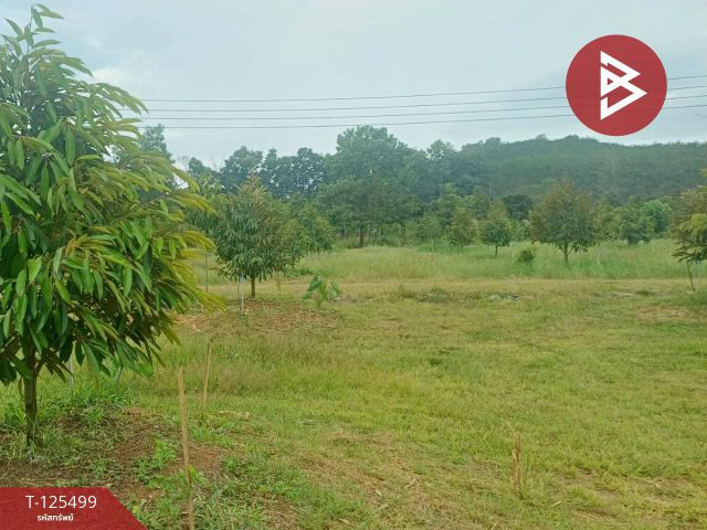 ขายที่ดิน เนื้อที่ 12 ไร่ 36.5 ตารางวา ต.เขาแก้ว ท่าใหม่ จันทบุรี