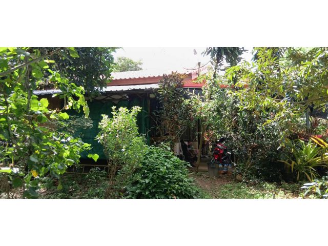 ขายบ้านพร้อมที่ดินโฉนด2ไร่66ตรว.ราคา3,300,000บาทต.ท่ายางอ.ท่ายางจ.เพชรบุรีติดแม่น้ำเพชรบุรีพร้อมสวนผลไม้ทุเรียน มะพร้าว