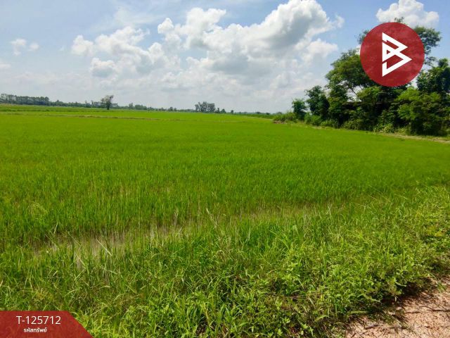 ขายที่ดินเปล่า เนื้อที่ 207 ไร่ 3 งาน 89 ตร.วา พรานกระต่าย กำแพงเพชร