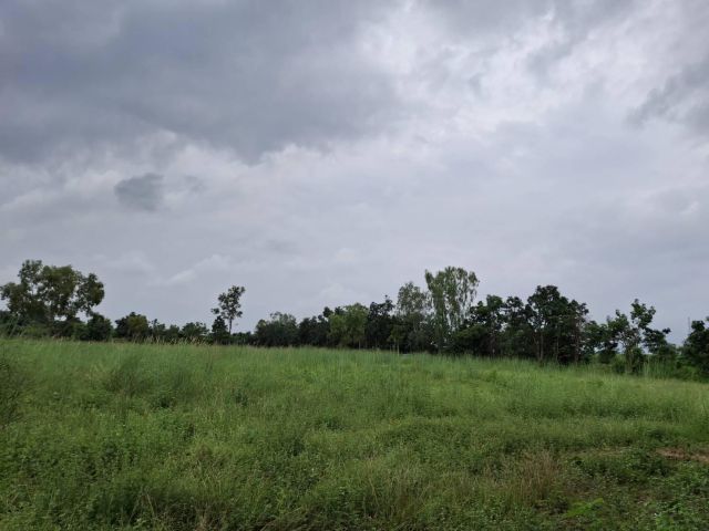 ขายด่วน!!! ที่ดินโฉนดสวยๆ 33 ไร่ ต.จอมบึง อ.จอมบึง จ.ราชบุรี หลังปั้มป.ต.ท. ขายด่วนๆ ไร่ล่ะ400,000