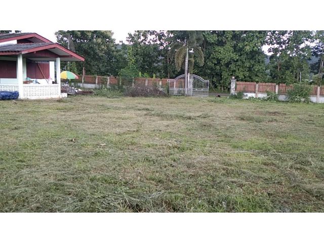 ขายด่วน!ที่โฉนดติดถนนทางหลวงชนบทสายบ้านใหม่เจริญมิตร-บ้านเจริญเมือง 8-1-50 ไร่+บ้าน 3 หลัง ต.เจริญเมือง อ.พาน จ.เชียงราย