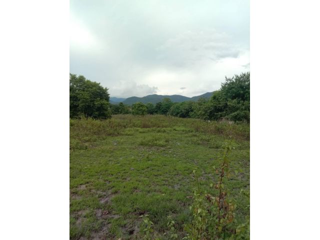 ขายที่ดิน 12 ไร่กว่า ติดถนนสายหลักน้ำไฟถึง บรรยากาศดีเยี่ยม เหมาะทำธุรกิจ/รีสอร์ท/โฮมสเตย์ ใกล้เมืองเดินทางสะดวก