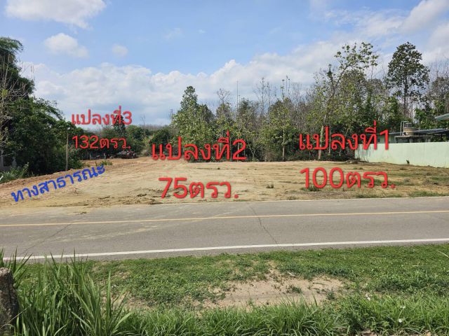 ขายที่ดินสันทรายจัดสรรทำเลดีติดถนน ปรับถมแล้วพร้อมปลูกบ้าน/ค้าขายได้ ราคาถูกและโอนฟรี เดินทางสะดวก น้ำไม่ท่วม