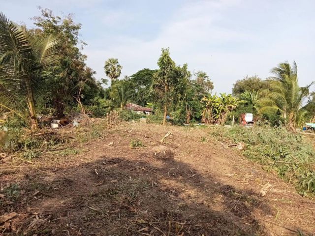 ที่สวย ติดคลอง 5-2-61ไร่  ต.คลองสามวา อ.มีนบุรี  กรุงเทพ ขายเหมายกแปลง 4,500,000