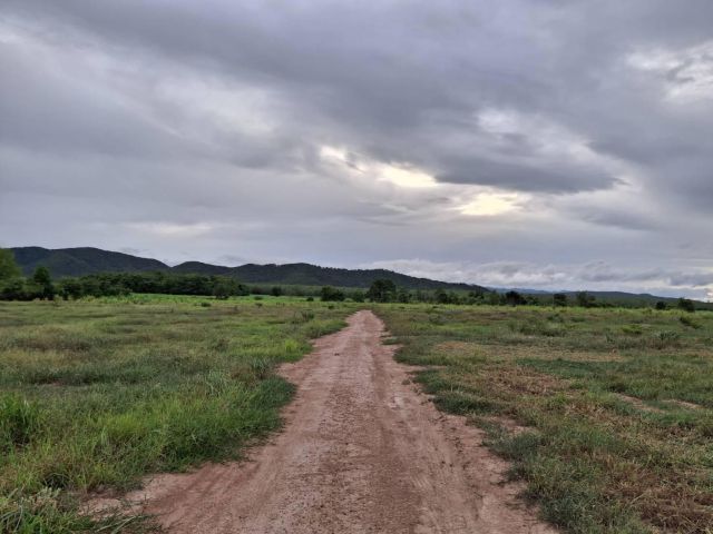 เปิดขายแล้ว นส 3 ก. 100 ไร่ ต.รางบัว อ.จอมบึง จ.ราชบุรี