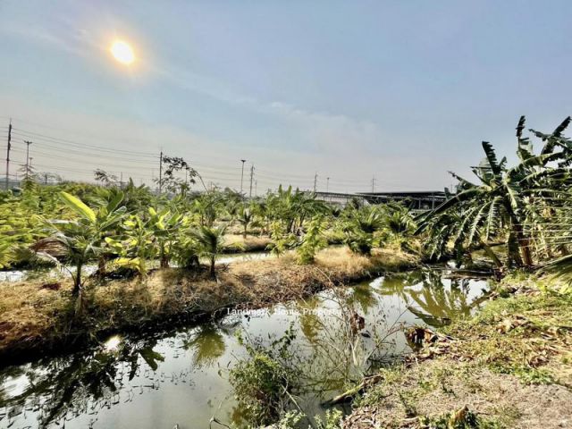 LM25-0134 ขายที่ดิน หัวมุมถนนกัลปพฤกษ์ ติดถนนกาญจนาภิเษก