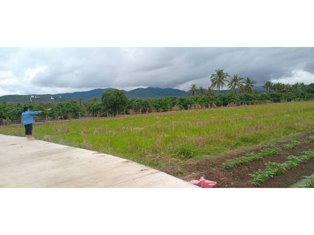 ขายที่ดินทำเลดีบรรยากาศดีราคาถูก 6 ไร่กว่า สันทราย ตรว.ละ 2,325 โอนฟรีปลูกบ้าน/ทำรีสอร์ท/โฮมสเตย์ได้