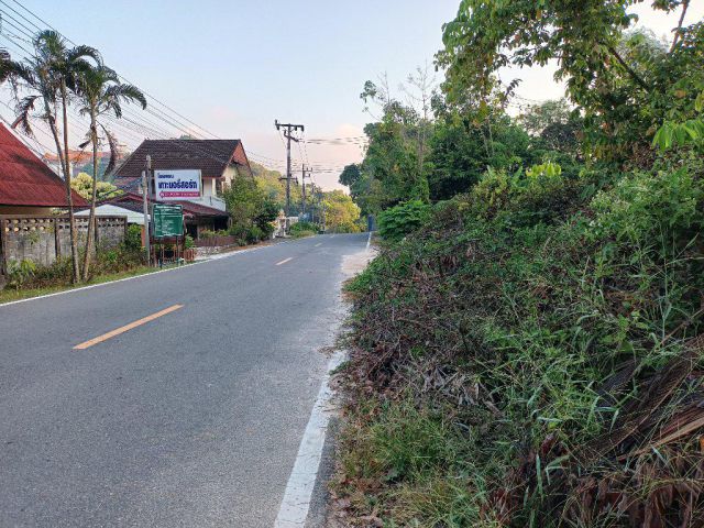 ขายที่ดินเกาะยอทำเลดี