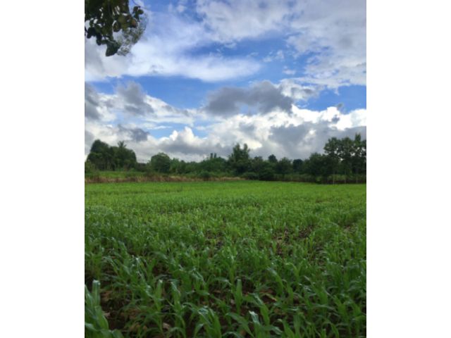 ขายที่ดินโฉนด เขาใหญ่ ใกล้ถนนลาดยาง ทำเลทอง วิวสวย 10 ไร่ 2 งาน