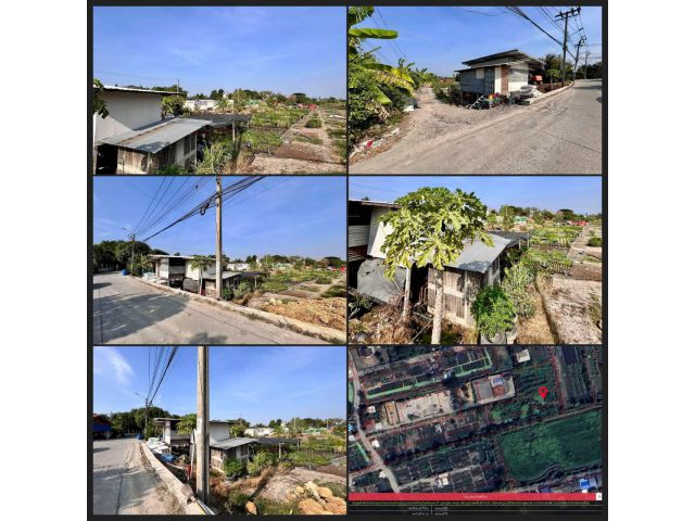 ขายที่ดิน หลังโรงถ่ายกันตนา อ.บางใหญ่ จ.นนทบุรี