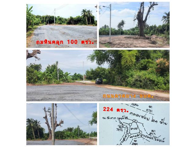 (โฉนด) ที่ดิน 224 ตรว. (พร้อมถม) เหมาะที่อยู่อาศัย หน้าติดถนนลาดยาง คลองน้ำ ไฟฟ้า น้ำประปา (พร้อมใช้) ม.10 ต.ดอนคา อ.อู่ทอง จ.สุพรรณบุรี