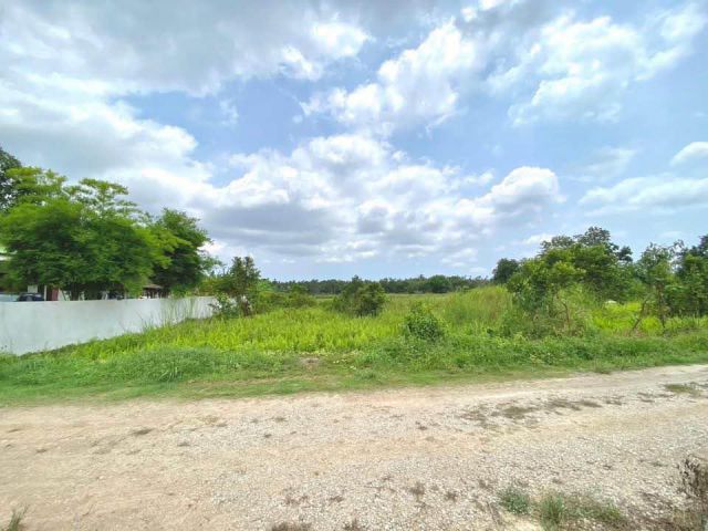 ขายที่ดินบ้านค่ายเนื้อที่ 1 ไร่ ใกล้ถนนเส้น6031 - 1.3 กม. ใกล้แยกบ้านดอนถนนเส้น36 - 8.7 กม. จ.ระยอง