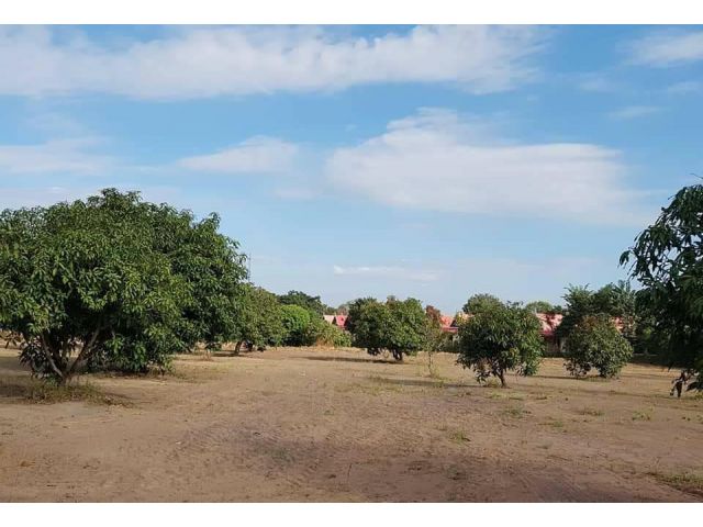 ขายด่วนมากที่ดินเปล่า ทำเลทอง ซ.ชัยพรวิถี 25 (หนองปลาไหล10)