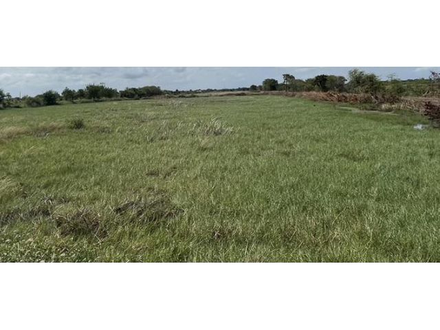 ขายด่วนมากที่ดินเปล่า ทำเลทอง บางประกง พท.30-3-15 ไร่ บางปะกง ฉะเชิงเทรา