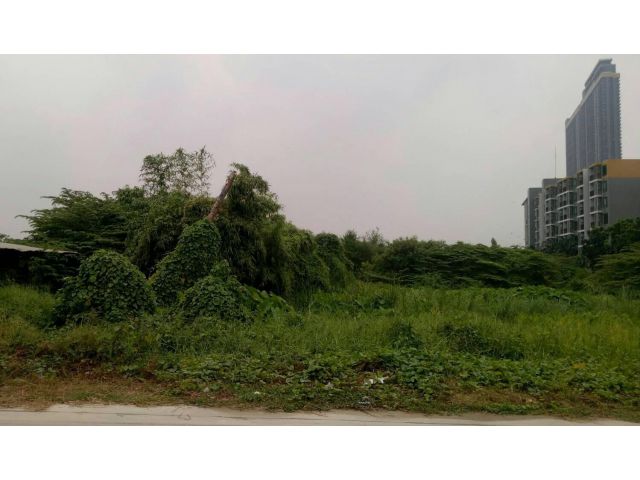 ขายด่วนมากที่ดินเปล่าใกล้แม่น้ำเจ้าพระยา สร้างอาคารสูง 8 ชั้นได้