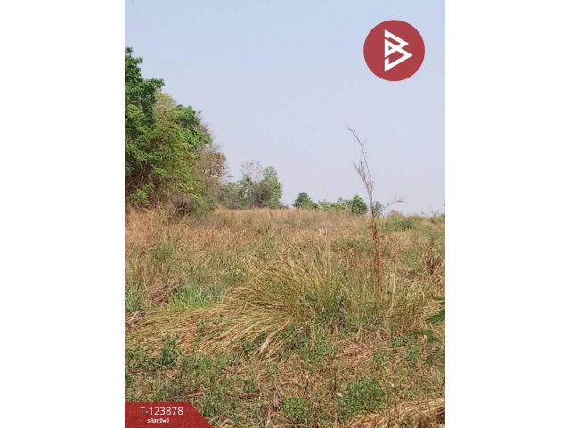 ขายที่ดิน เนื้อที่ 4 ไร่ 1 งาน 80 ตร.วา เวียงเก่า ขอนแก่น