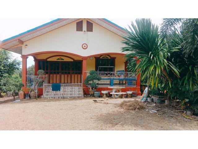 ขายด่วนบ้านพร้อมสวนทุเรียนขนาด1ไร่โฉนดพร้อมโอนทุเรียนให้ผลแล้วและยังมีไม้ผลอื่นๆอีกหลายชนิดปลอดภัยจากน้ำท่วมแน่นอน