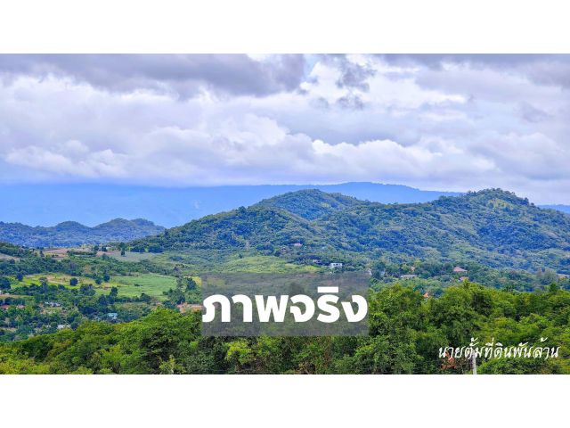 ขายที่ดินเขาใหญ่