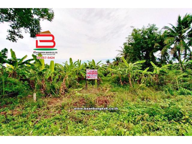 ที่ดินเปล่า เนื้อที่ 12-0-46.2 ไร่ ซอยปลายน้ำ ใกล้แยกปราณบุรี ถนนเพชรเกษม ตำบลเขาน้อย อำเภอปราณบุรี ประจวบคีรีขันธ์