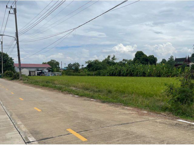 ขายที่ดินคูบางหลวงสีม่วง 2 ไร่ ติดถนน3ด้านราคาถูก ใกล้ถ.ปทุมธานี-บางเลน346-1กม. อ.ลาดหลุมแก้ว ปทุมธานี