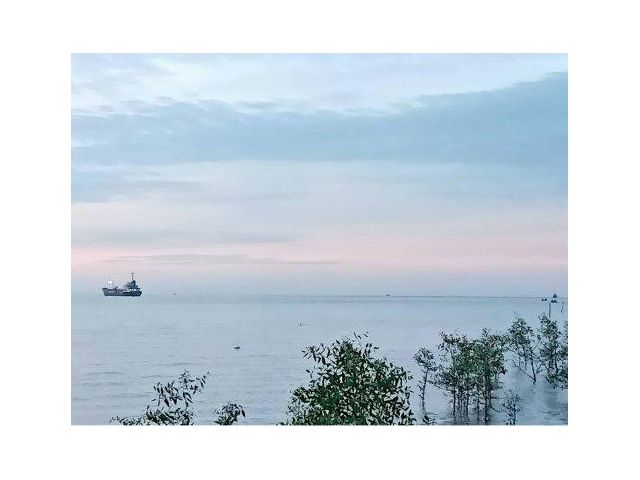 ขายที่ดิน 19 ไร่ ติดทะเลอ่าวไทย ต.แหลมใหญ่ อ.เมืองสมุทรสงคราม จ.สมุทรสงคราม