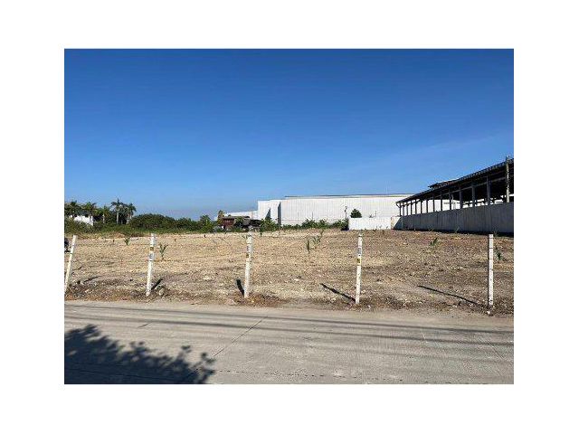 ขายที่ดิน 4 ไร่ ถนนบางนา-ตราด กม.19 ผังสีม่วง ต.บางโฉลง อ.บางพลี จ.สมุทรปราการ