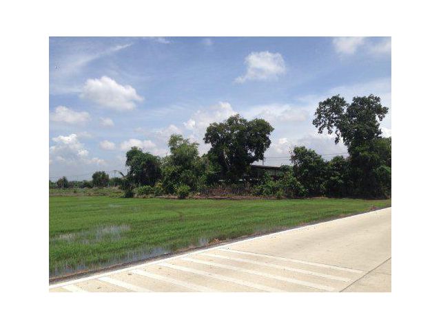 ขายที่ดิน 50 ไร่ คลองหก ติดถนนเลียบคลองหก ใกล้สวนสัตว์ปทุมธานี ต.บึงคำพร้อย อ.ลำลูกกา จ.ปทุมธานี