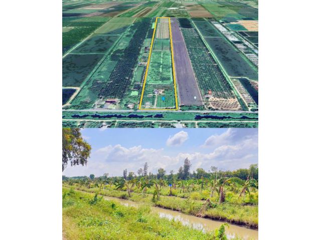 ที่ดิน 120 ไร่ โฉนด ตำบลหนองหมู อำเภอวิหารแดง จังหวัดสระบุรี ที่ดินติดคลองติดถนนเลียบคลอง เป็นถนนดำ ถนนใหญ่