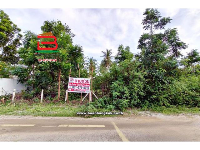 ที่ดินเปล่า ซอยสามร้อยยอด 23 เนื้อที่ 330 ตร.ว (ใกล้หาดสามร้อยยอด) ถนนเพชรเกษม