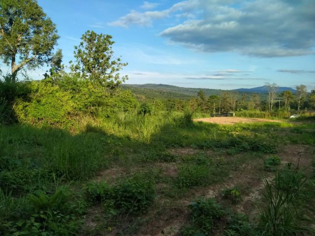 ที่ดืนวิวสวยภูเรือใกล้ถนนสี่เลนโครงการใหม่ 1 ไร่ 1 ล้านโฉนดพร้อมโอน บรรยากาศดีไฟผ่าน เข้าสะดวก