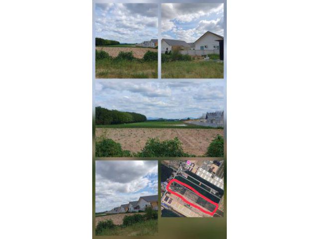 ขายที่ดินเปล่า 25 ไร่ติดกับหมูบ้านจัดสรรและนิคมฯ ซอย3 สาย 13