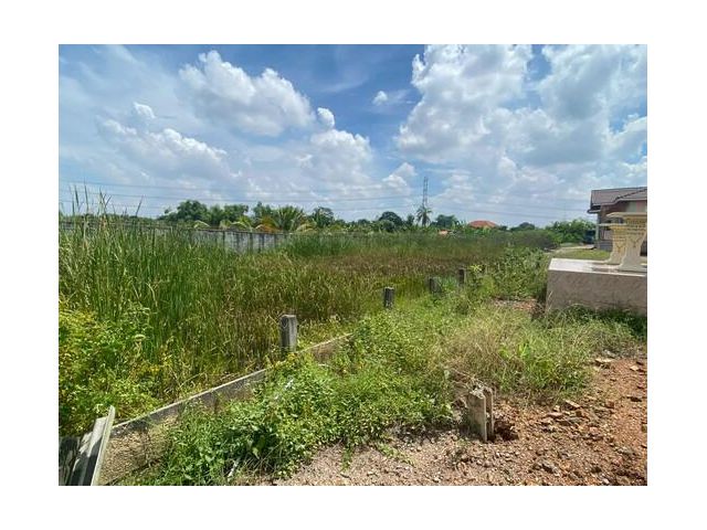 ขายที่ดินสวย เหมาะสำหรับ สร้างเพื่ออยู่อาศัย หรือเพื่อการลงทุนในอนาคต ด้านติดถนน ด้านหลังติดคลองตาชม
