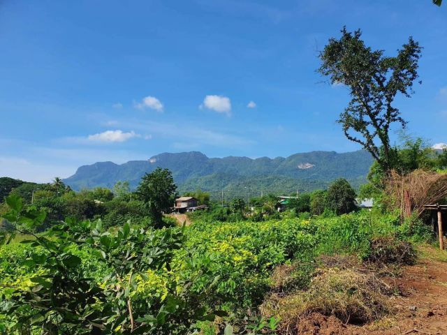 L883 ขายที่ดินวิวเขา 3 ไร่ หล่มเก่า เพชรบูรณ์