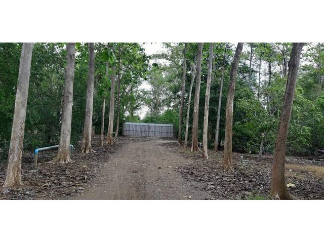 ขายที่ดิน 30 ไร่ สอยดาว จันทบุรี