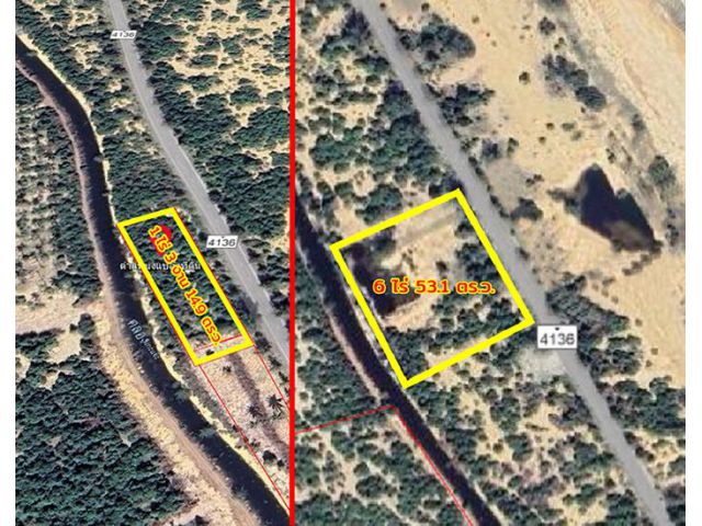 ขายที่ดิน ติดทะเล ไม้แก่น ปัตตานี