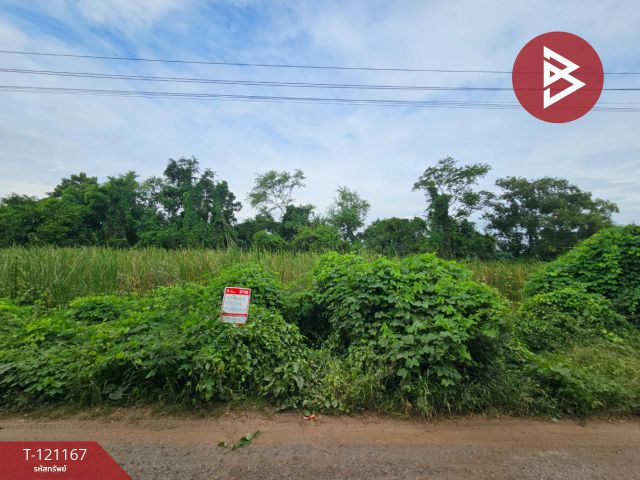 ขายที่ดิน เนื้อที่ 1 งาน หนองจอก กรุงเทพมหานคร