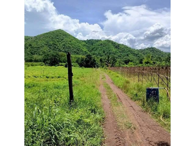 L885 ขายที่ดินวิวเขาสวย 8 ไร่ หน้ากว้าง 44 เมตร หล่มสัก เพชรบูรณ์