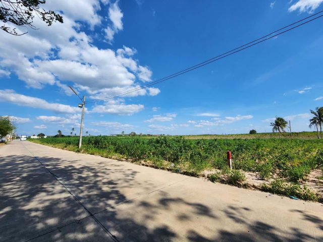 L889 ที่ดินถมแล้ว แบ่งขาย/ยกแปลง 18 ไร่ ศรีราชา ชลบุรี