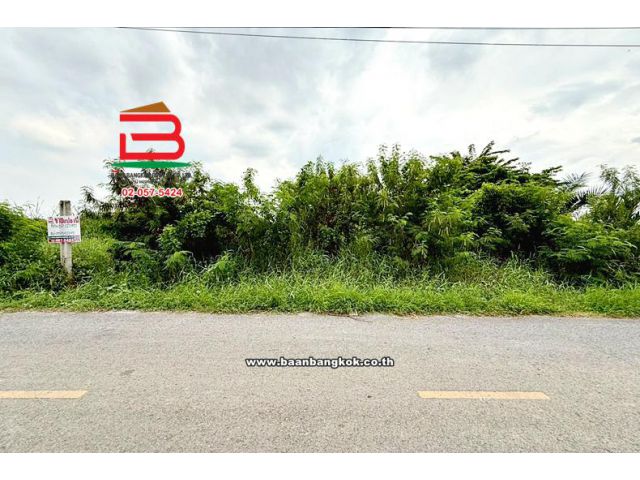 ขาย/เช่า ที่ดินเปล่าถมแล้ว ซอยกำนันสมจิตร เนื้อที่ 127 ตร.ว (ใกล้มอเตอร์เวย์ M81) ตำบลบางแม่นาง อำเภอบางใหญ่ นนทบุรี